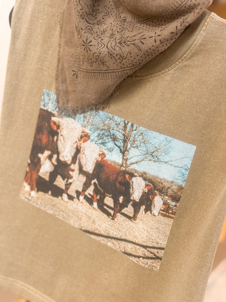 HERD OF HEREFORDS TANK